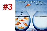 3. místo: Diamond Rio